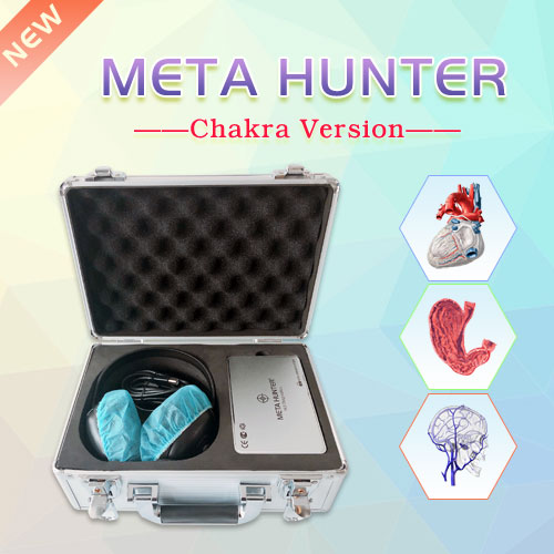 Meta hunter with the chakra function