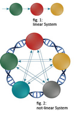 Non-linear System - Metatron Hunter 4025