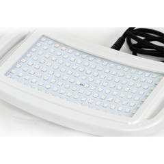 Medical LED Light Photon Therapy Instrument for Gynecological diseases