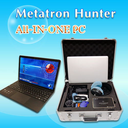 Metatron Hunter 4025 All-in-one PC