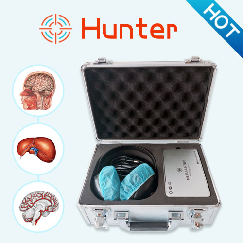 Metatron Hunter NON-LINEAR SYSTEM bioresonance device stands out