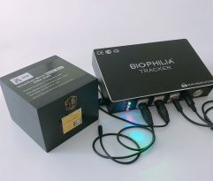 The ISHA Remote Quantum Meta Black Box for Distance Healing