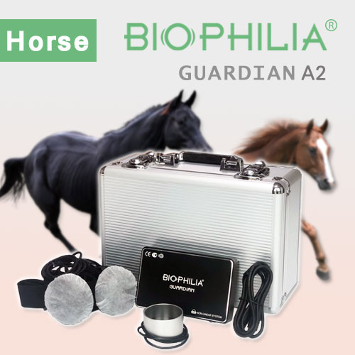 Biophilia Guardian A2 NLS Diagnosis and Meta Therapy Device for Horses
