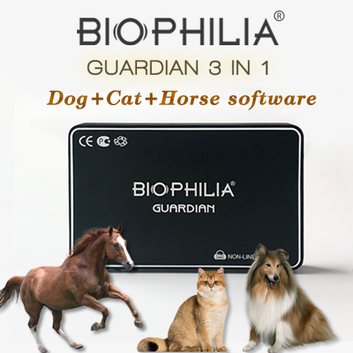 About the installation and new card of the horse software in Biophilia Guardian